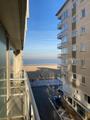 bel appartement à 100m de la plage
